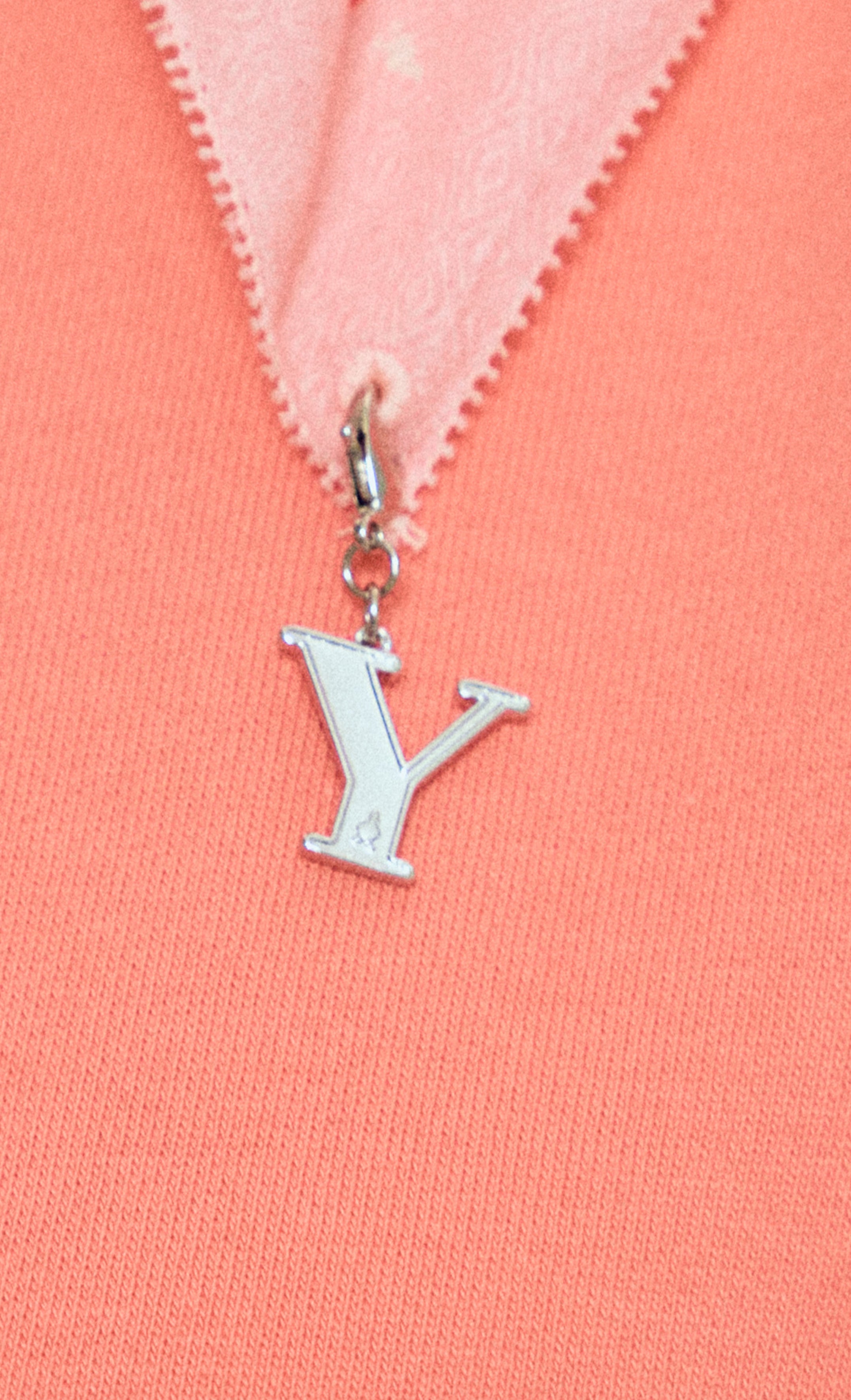 Alphabet dUCk Charm in Y